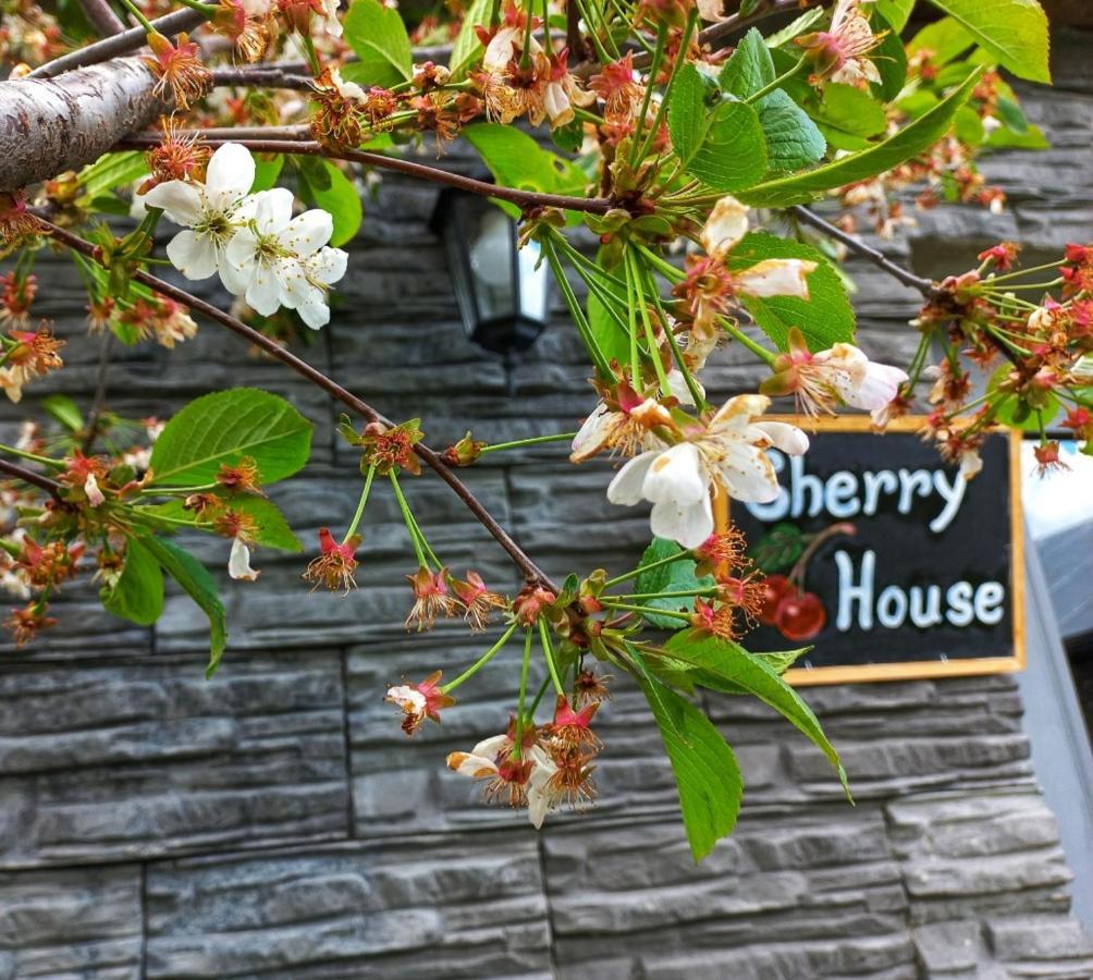 Cherry House كازباجي المظهر الخارجي الصورة